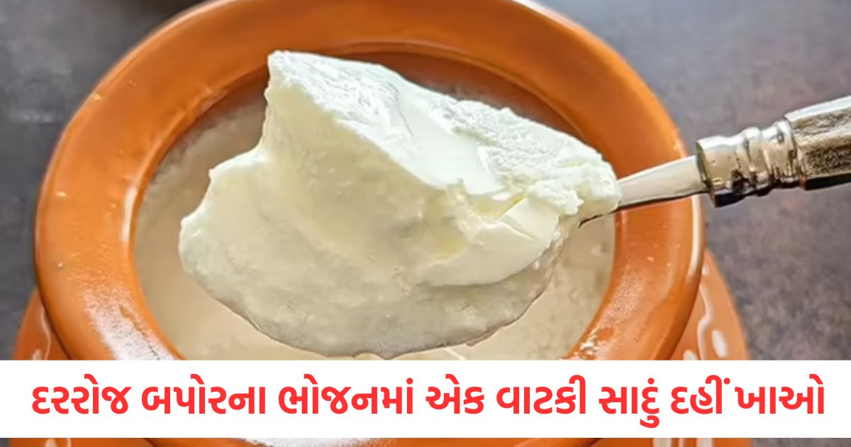 benefits of eating a bowl of curd every day in lunch check details here