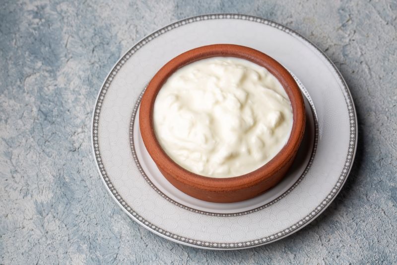 benefits of eating a bowl of curd every day in lunch check details here111
