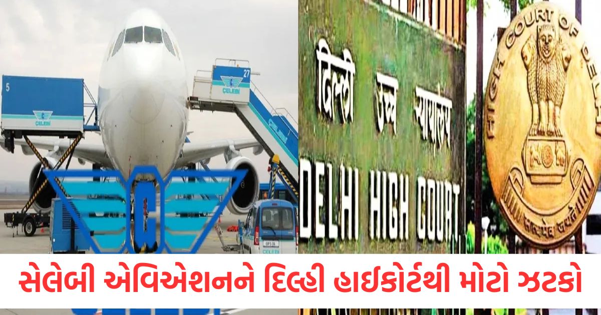 celebi aviation delhi high court petition challenging decision dismissed