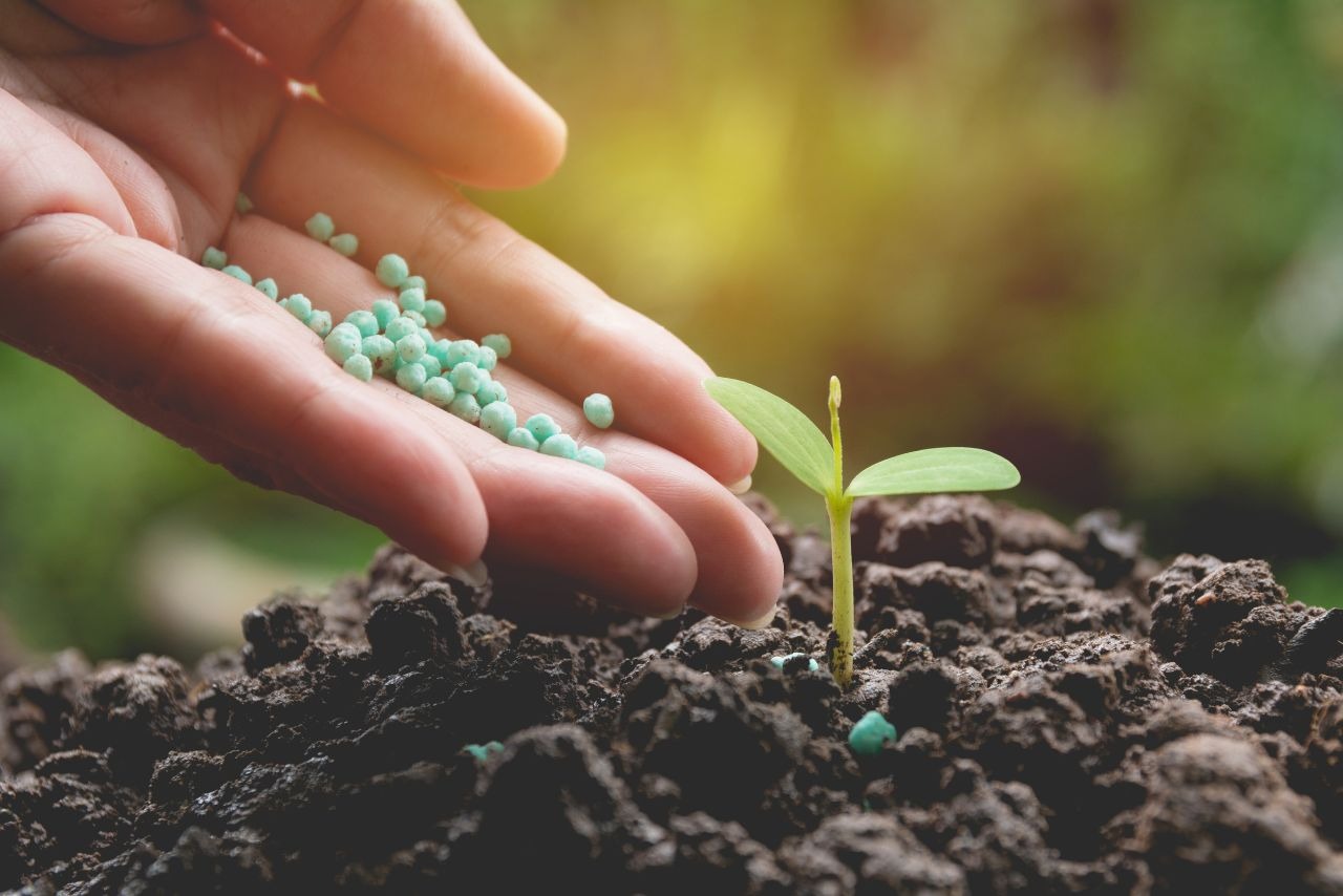 fertilizer stocks this company share huge surges 17 percent today1