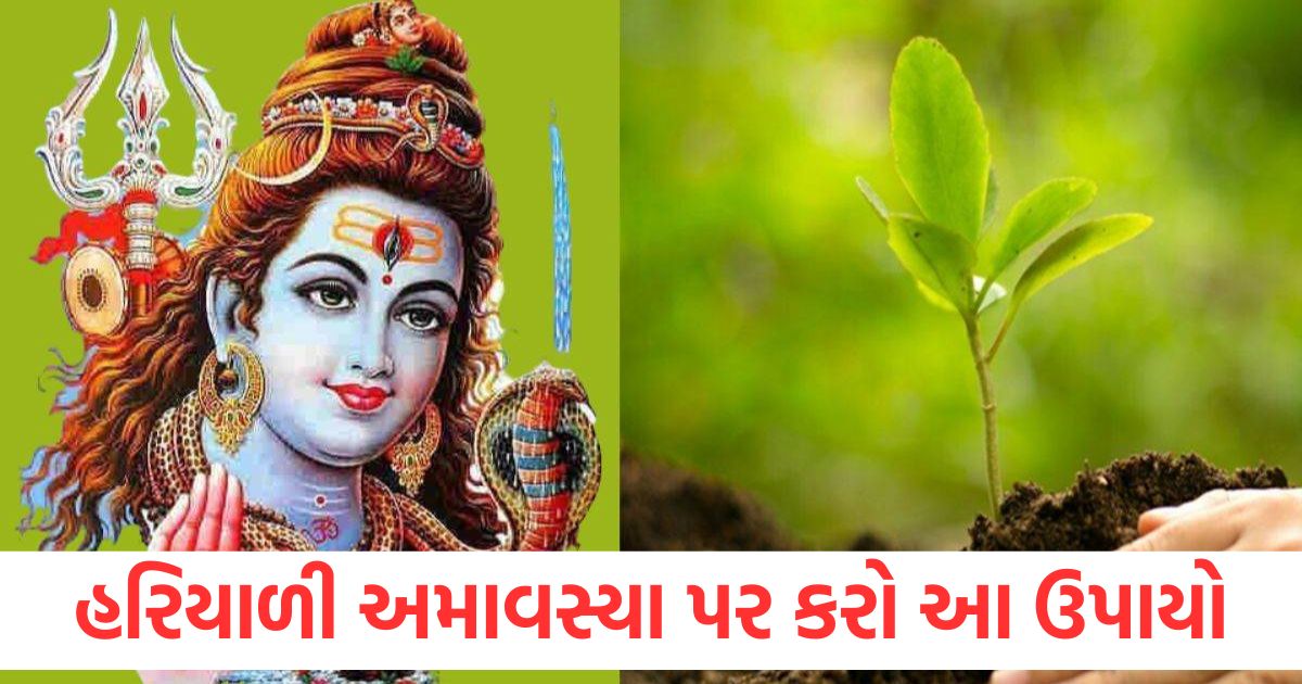 hariyali amavasya 2025 do this remedy at night to attract wealth like a king