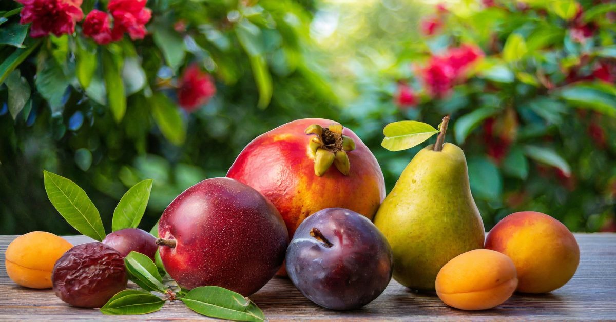 monsoon diet boost immunity with these must eat fruits during rainy season1111