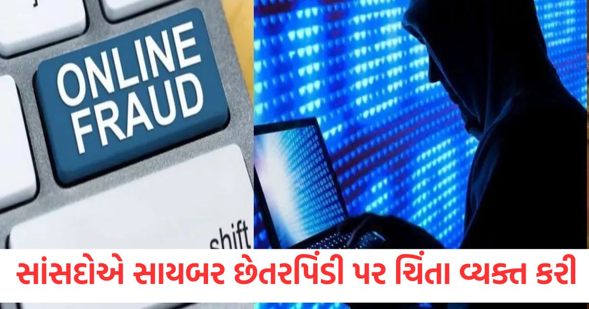 mps expressed concern over cyber fraud