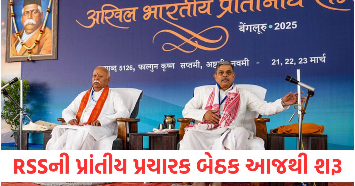 rashtriya swayamsevak sangh provincial pracharak meeting know about action plan for the centenary year