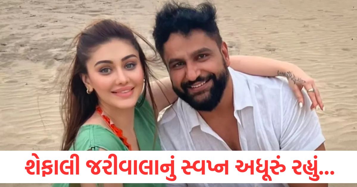 shefali jariwala dream wanted to embrace motherhood and adopt a child with husband parag tyagi