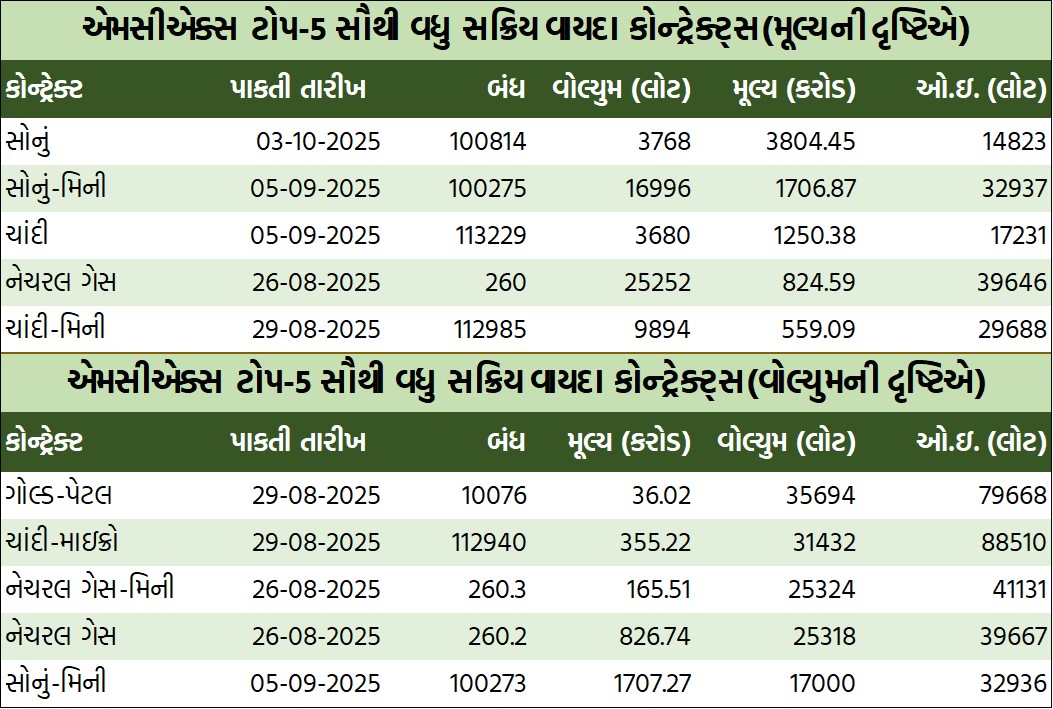 WhatsApp Image 2025 08 04 at 2.07.20 1