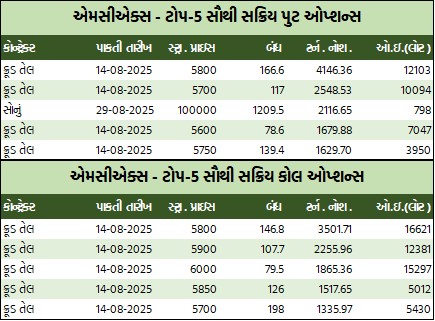 WhatsApp Image 2025 08 05 at 5.36.20 PM