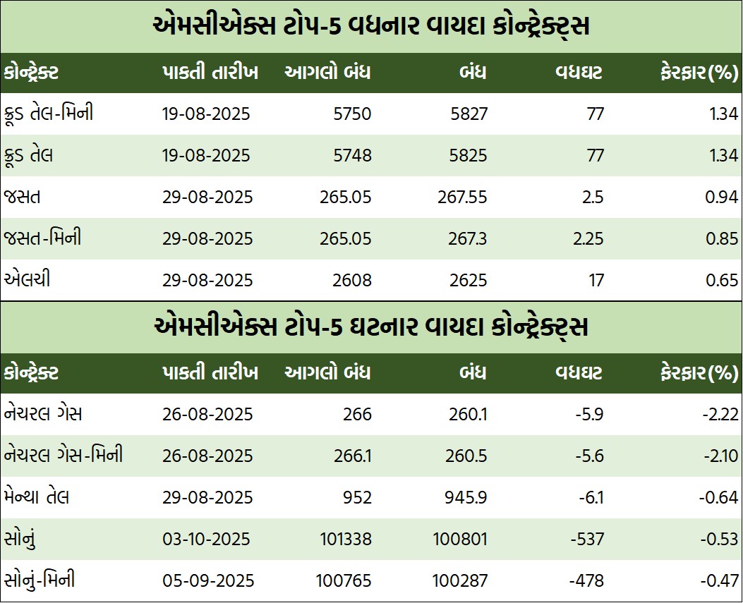 WhatsApp Image 2025 08 06 at 4.45.15 PM