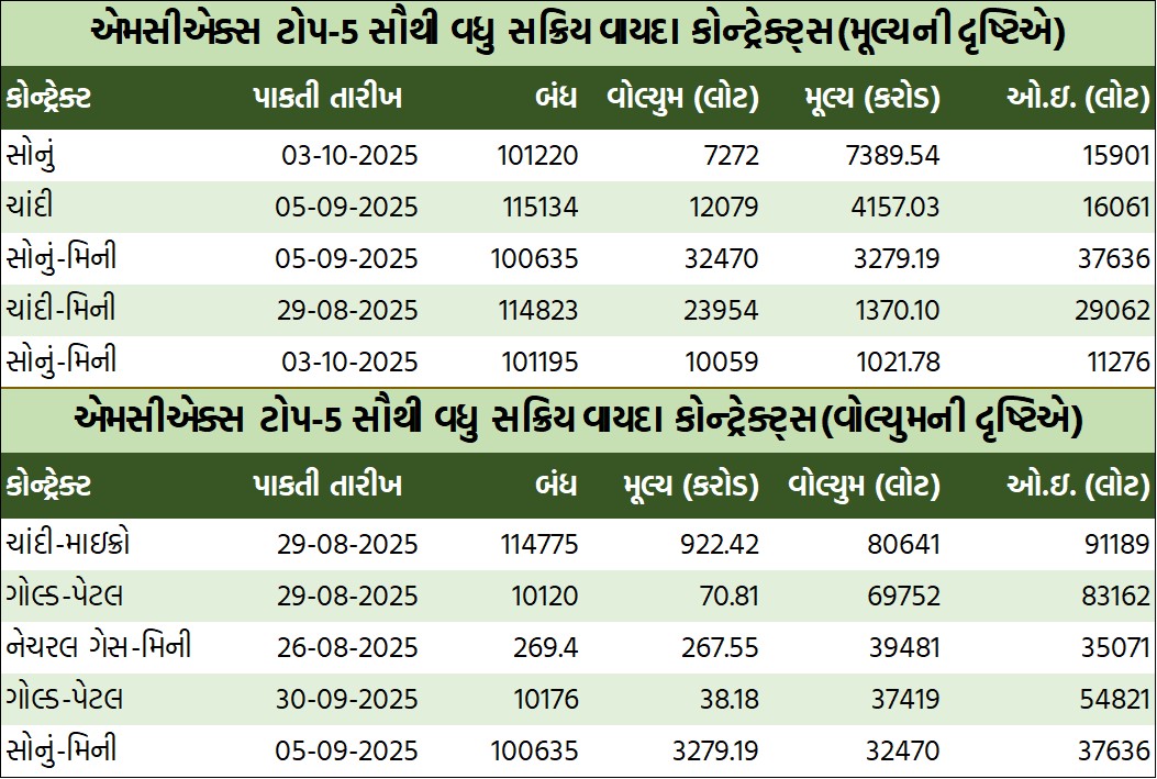 WhatsApp Image 2025 08 07 at 6.19.29 PM