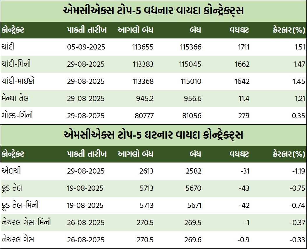 WhatsApp Image 2025 08 07 at 6.19.30 PM 1