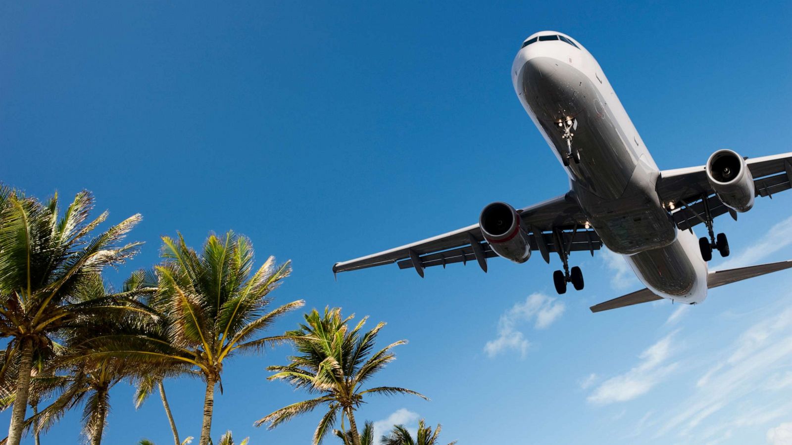 airplane vacation gty er
